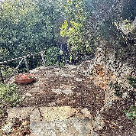 Degli Ulivi Garden